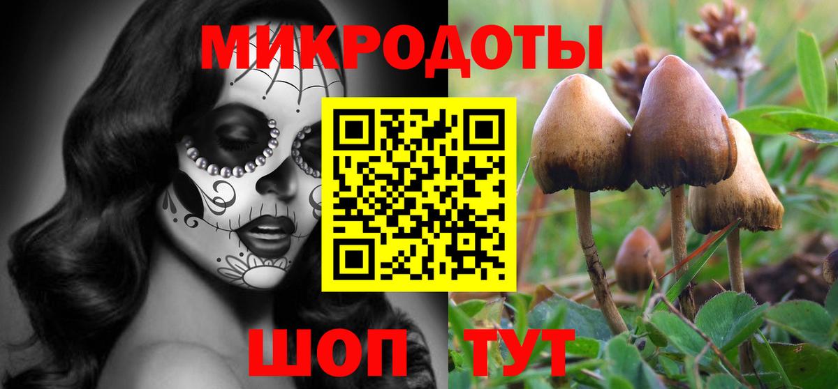 Псилоцибиновые грибы Psilocybe Орёл